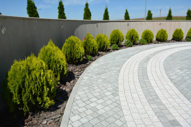 Best Concrete Paver Driveway  in Rendon, TX